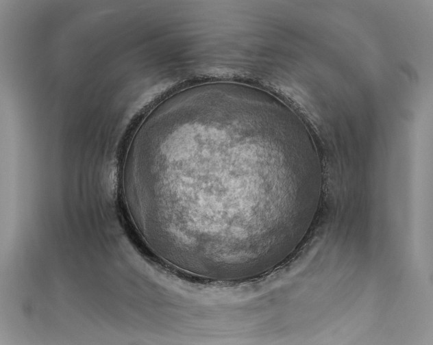 X0000111360016200907171213