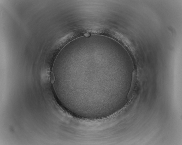 X0000111360017200907171213