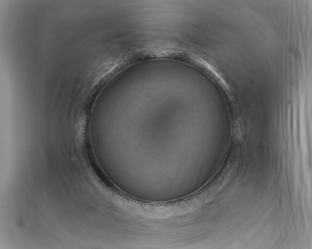 X0000111360018200907171213