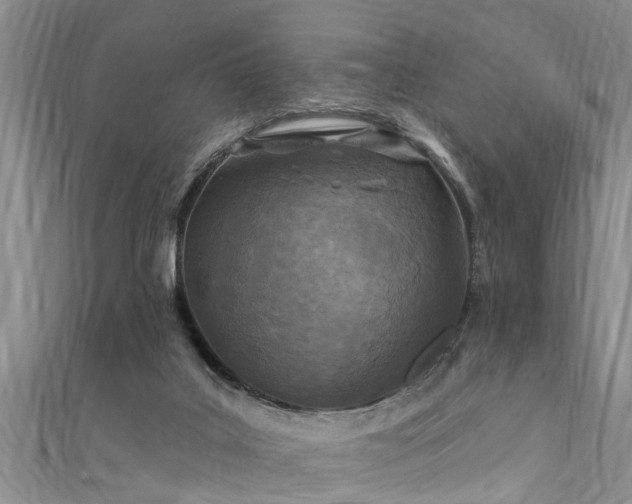 X0000111360019200907171213