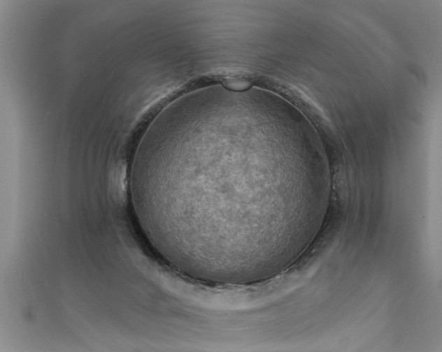 X0000111360024200907171213