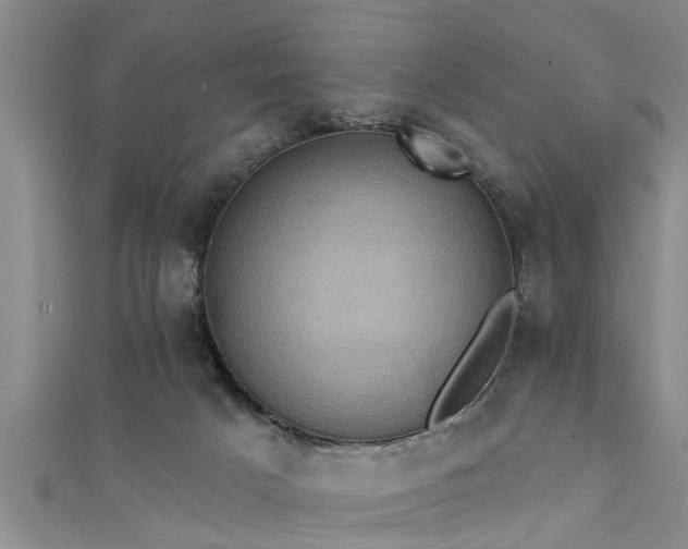X0000111360025200907171213