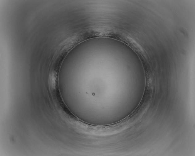 X0000111360026200907171213