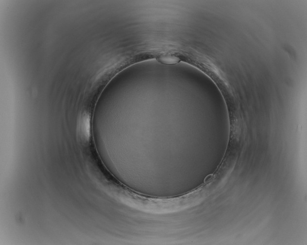 X0000111360027200907171213