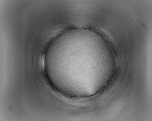 X0000111360028200907171213