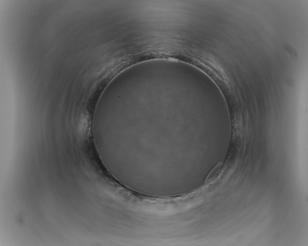X0000111360029200907171213