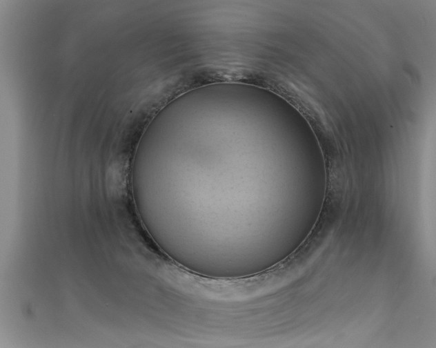 X0000111360030200907171213