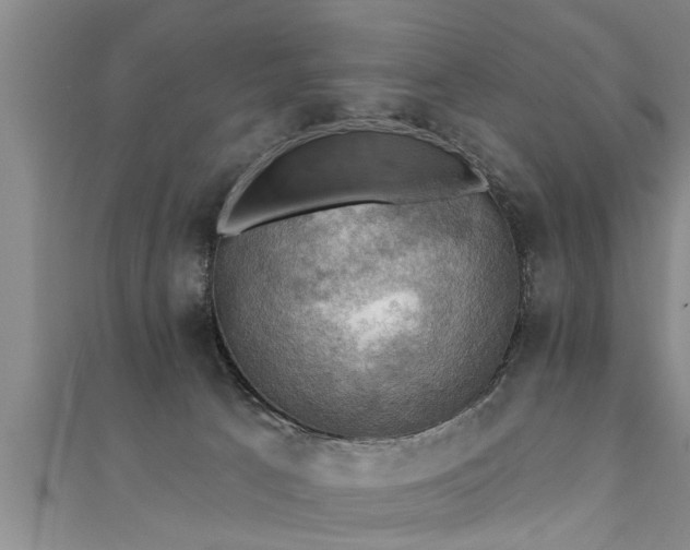 X0000111360033200907171213