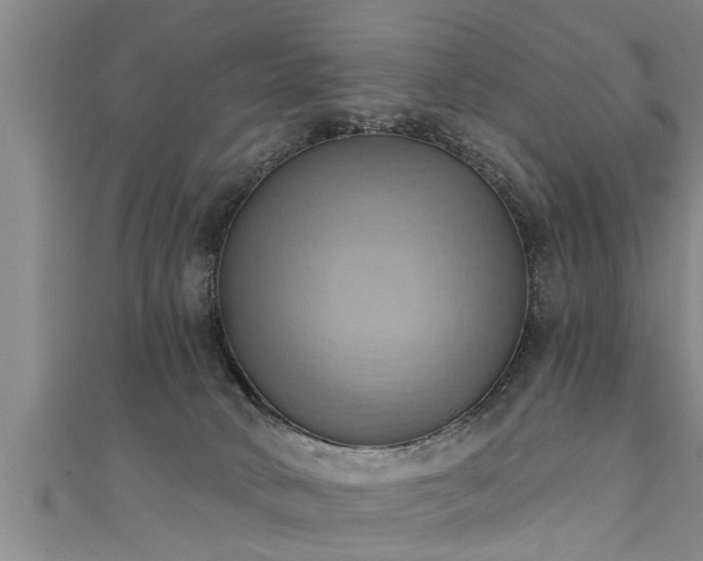X0000111360034200907171213