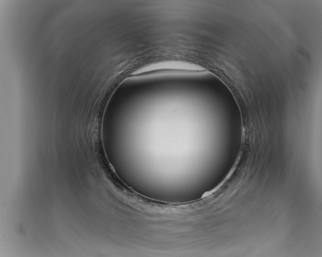 X0000111360036200907171213