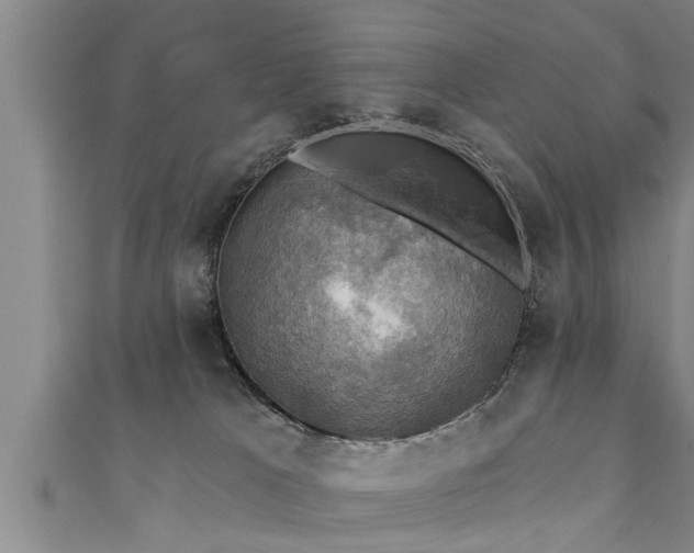 X0000111360037200907171213