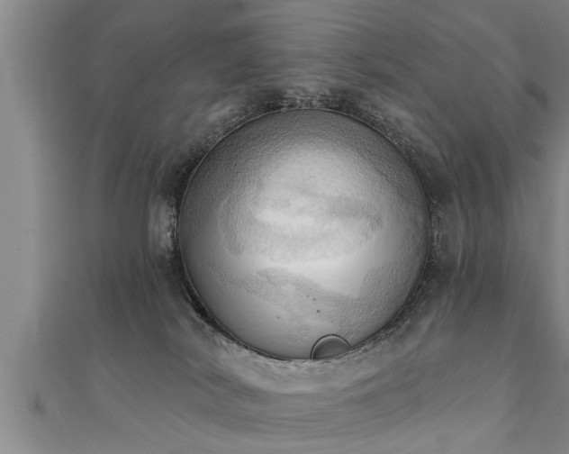 X0000111360038200907171213