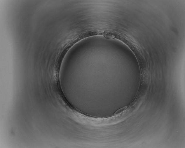X0000111360039200907171213