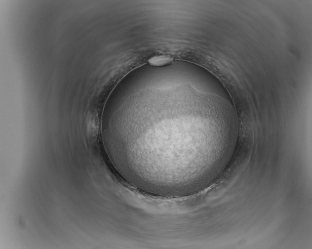 X0000111360040200907171213