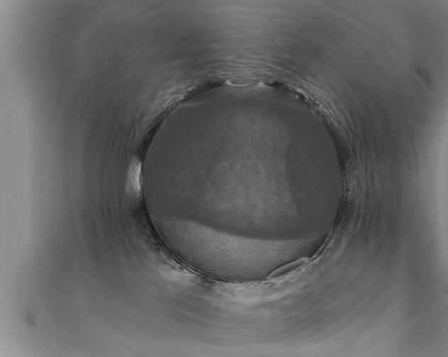 X0000111360041200907171213