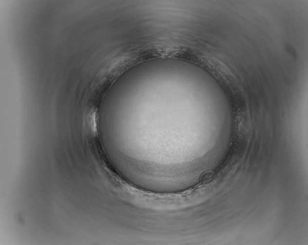 X0000111360042200907171213