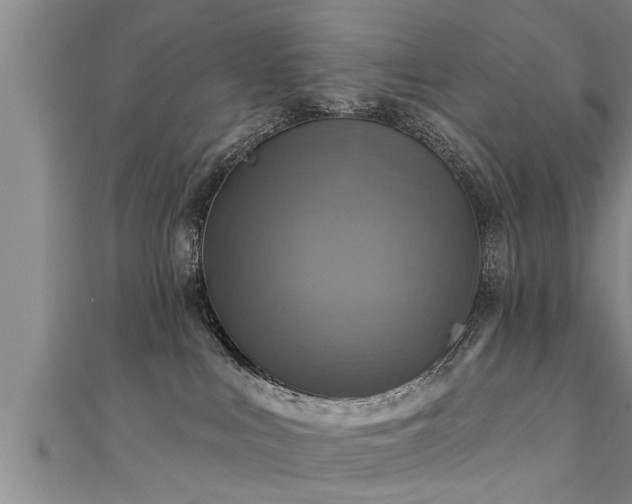 X0000111360043200907171213