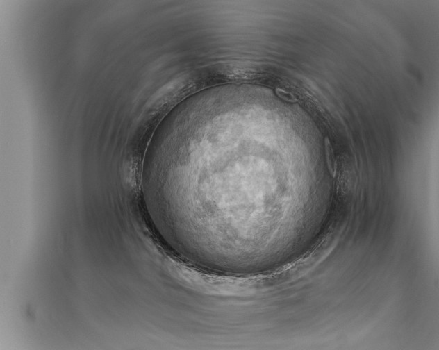 X0000111360044200907171213