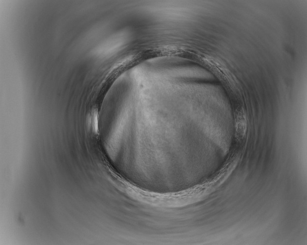 X0000111360046200907171213
