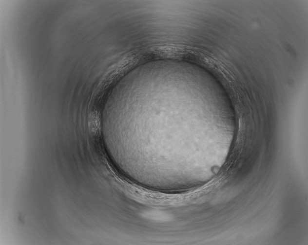 X0000111360048200907171213