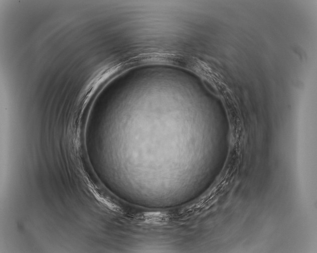 X0000111360050200907171212