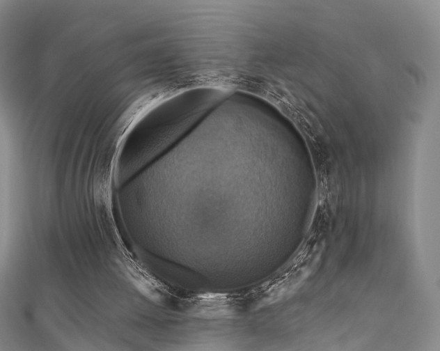 X0000111360052200907171212
