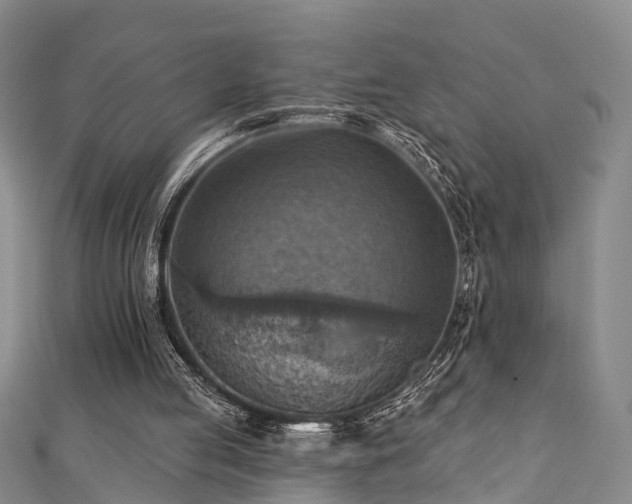 X0000111360053200907171212