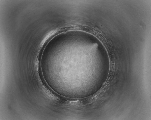 X0000111360054200907171212