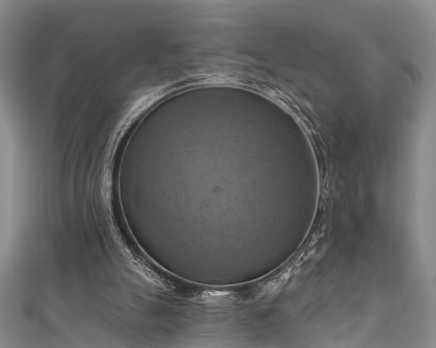 X0000111360055200907171212
