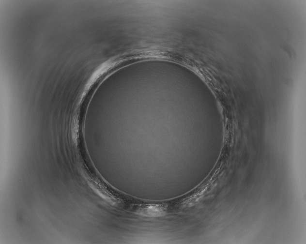 X0000111360056200907171212