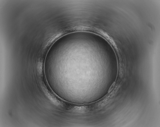 X0000111360057200907171212
