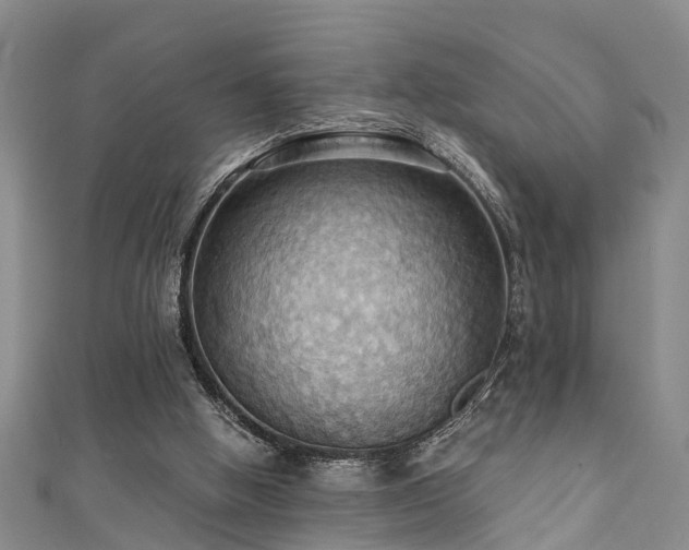 X0000111360058200907171212