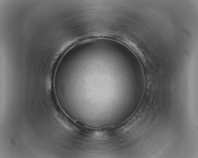 X0000111360060200907171212
