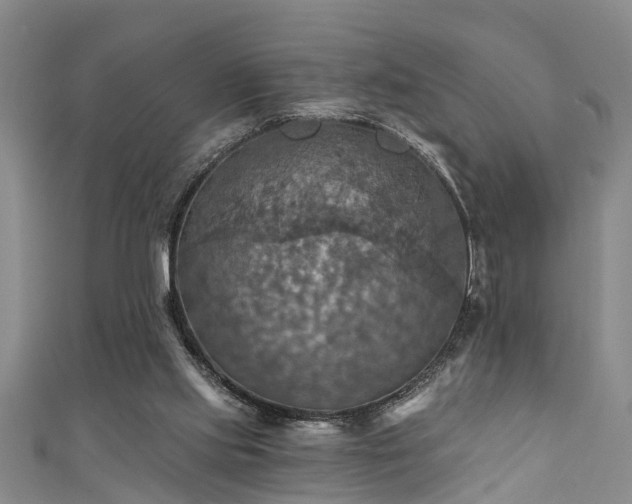 X0000111360061200907171212