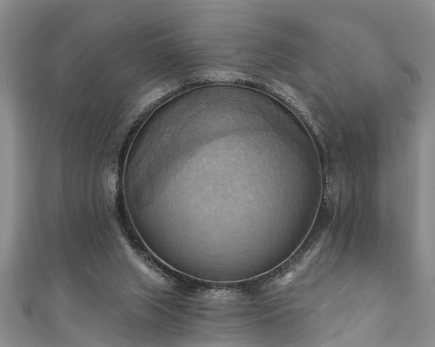 X0000111360063200907171212