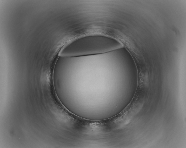 X0000111360064200907171212
