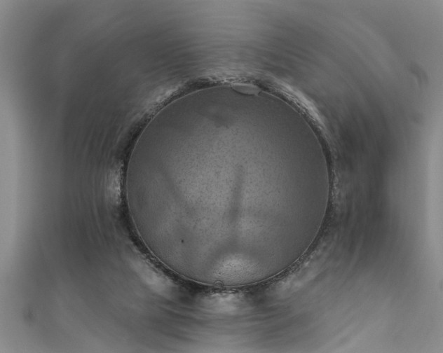 X0000111360065200907171212