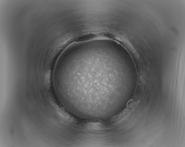 X0000111360066200907171212