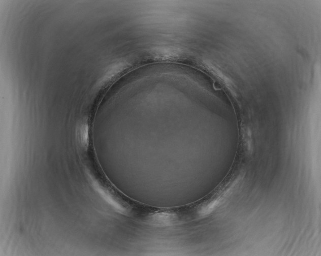 X0000111360067200907171212