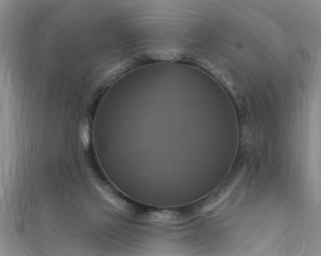 X0000111360069200907171212