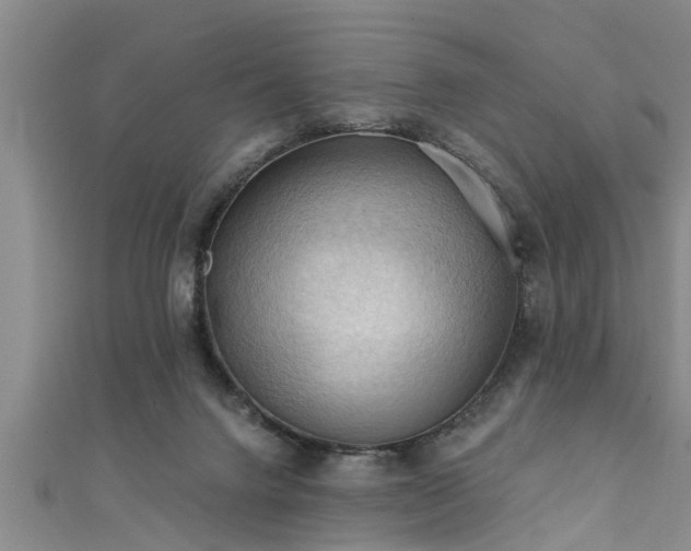 X0000111360072200907171212