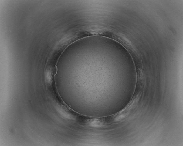 X0000111360074200907171212