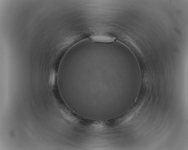 X0000111360076200907171212