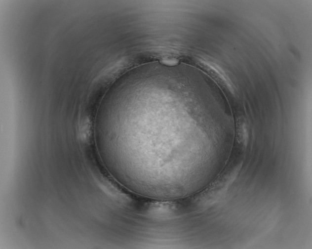 X0000111360077200907171212