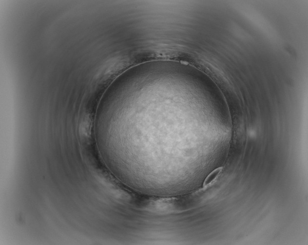 X0000111360078200907171212