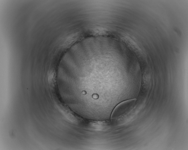X0000111360079200907171212