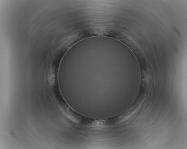 X0000111360080200907171212