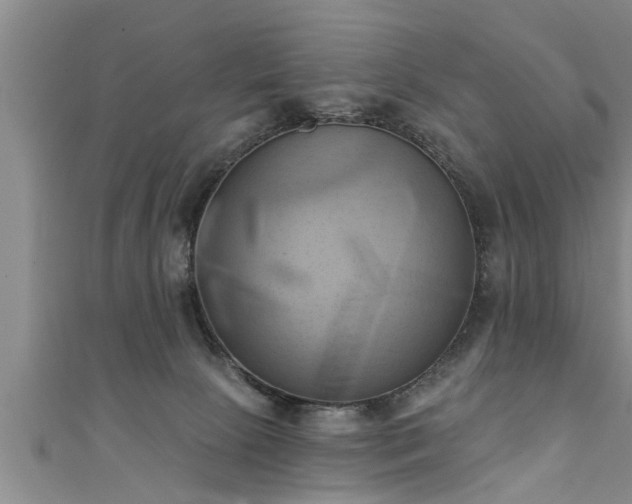 X0000111360081200907171212