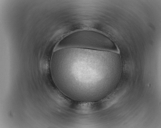 X0000111360084200907171213