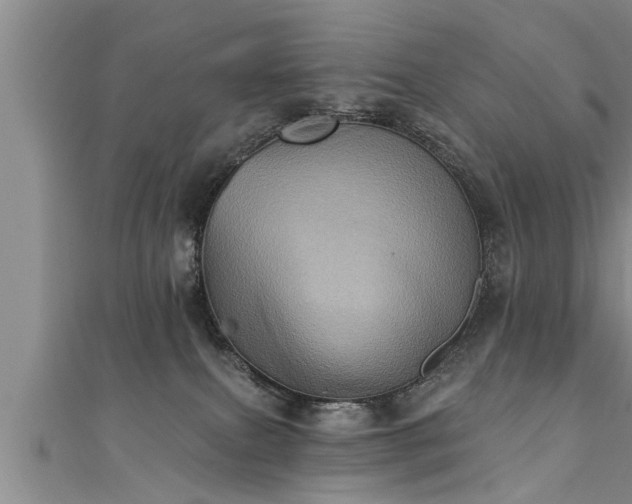 X0000111360087200907171213